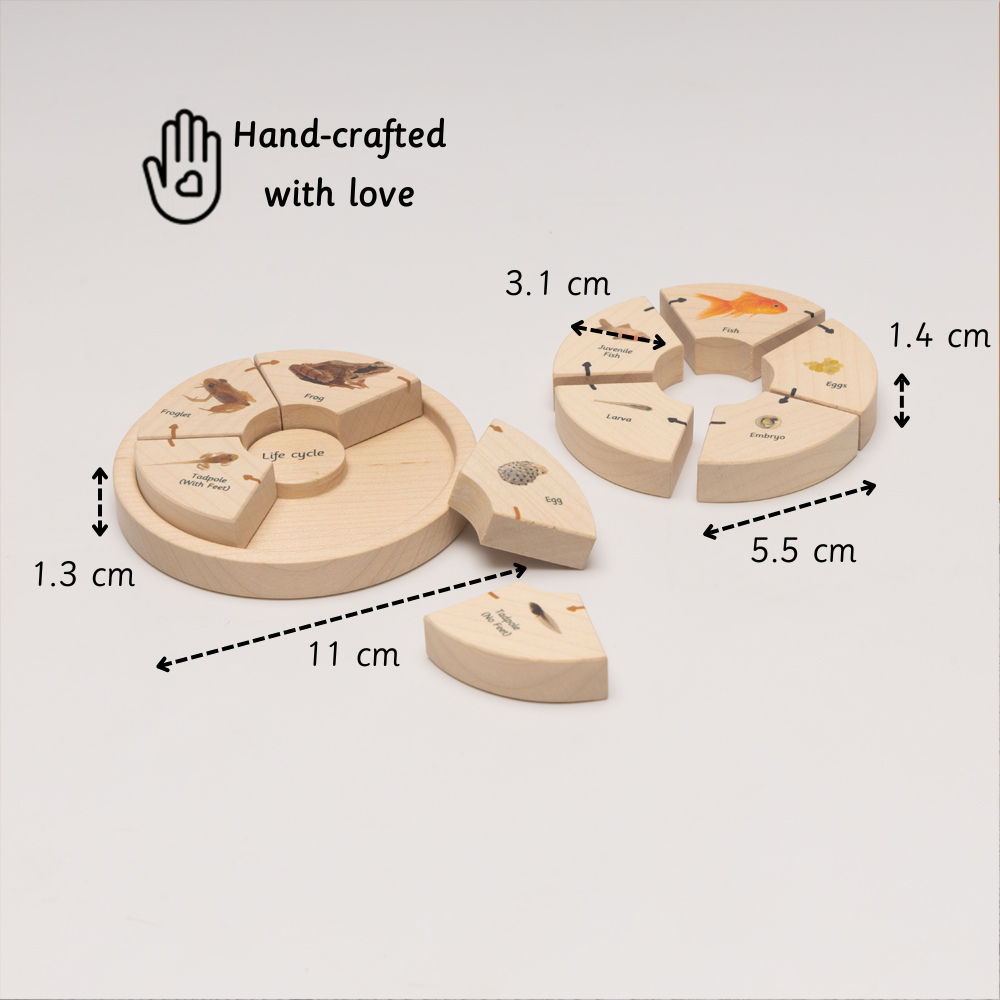 Life Cycle Puzzle - Oviparous